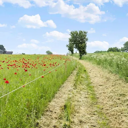 Ae272-soby-aero-rondal-7-a Apartman Havrekobbel